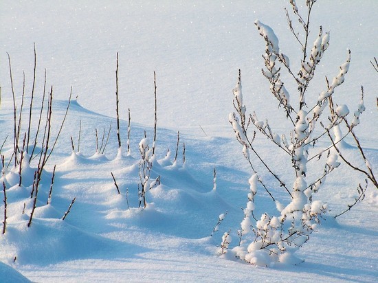 Прогноз погоды в Якутии на 4 ноября
