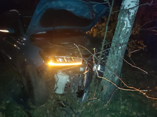 Под Воронежем пострадали 2 женщины после наезда китайского кроссовера на прицеп грузовой фуры и съезда в кювет