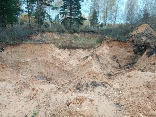 Россельхознадзором выявлены нарушения земельного законодательства в Конаковском районе Тверской области
