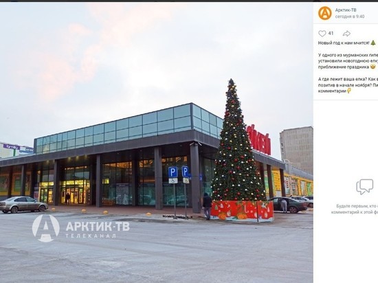 Возле мурманского «Молла» установили новогоднюю елку