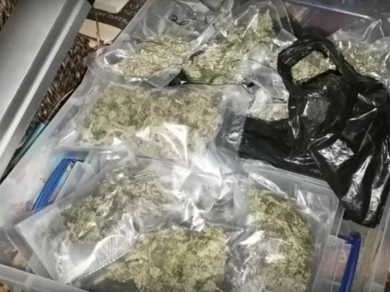 Около 20 килограмм марихуаны изъяли полицейские у жителя ЛНР