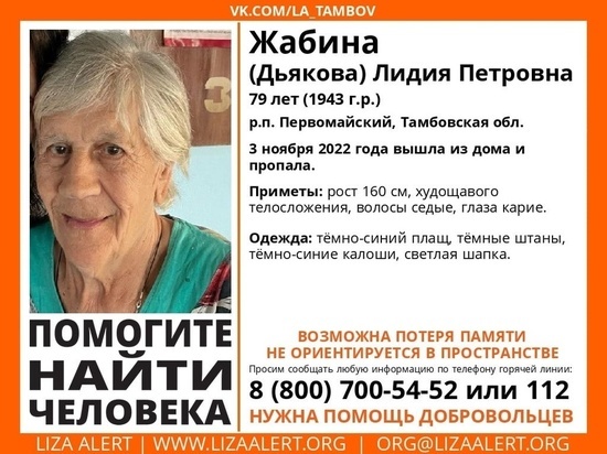 В Тамбовской области разыскивают 79-летнюю пенсионерку