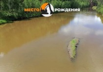 Жители Тунгокоченского района хотят обратиться к депутату Государственной думы Андрею Гурулёву по поводу загрязнения золотодобытчиками реки Ульдурги