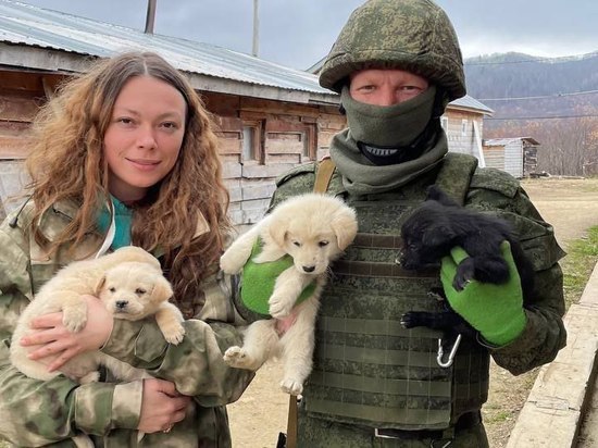 Десять щенят родились на полигоне Успеновском на Сахалине во время мобилизации