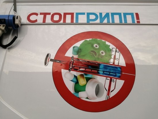 В Петербург завезли 378 тысяч доз вакцины от гриппа