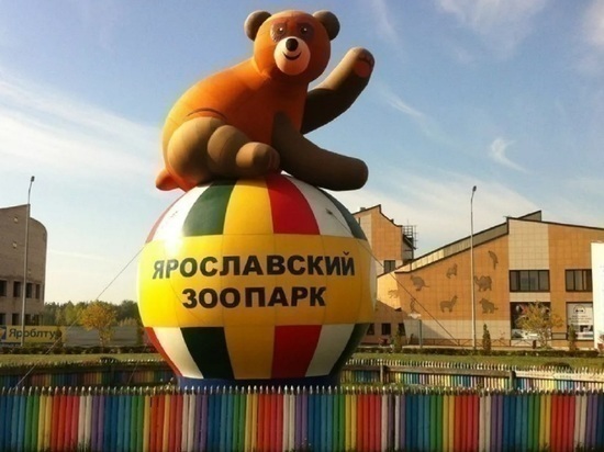 Ярославцам в праздничные дни покажут новых обитателей зоопарка