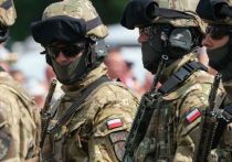 Ни для кого не секрет, что в рядах ВСУ воюет много иностранных наемников, однако получить конкретную информацию о том, откуда они берутся, сложно