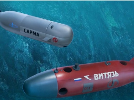 The Washington Time: «умные» российские дроны могут перерезать подводные кабели