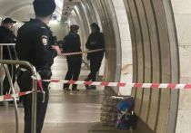 На станции метро Савеловская полиция со специально обученной собакой проверяет подозрительный груз