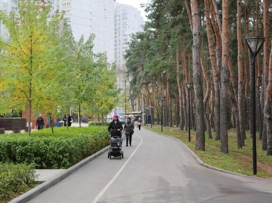 В парке «Дельфин» в Воронеже появится каток с искусственным льдом