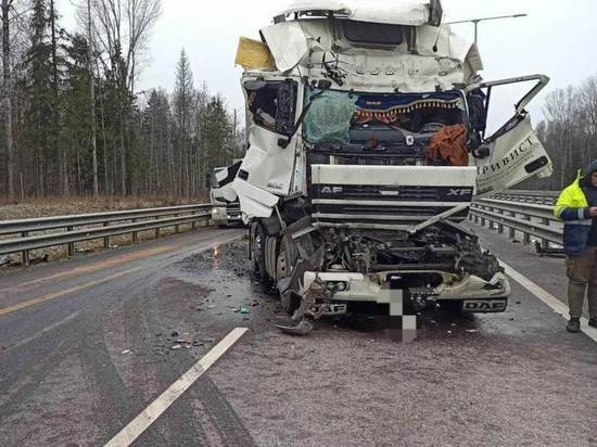 Две фуры столкнулись на скоростной автомагистрали М-11 в Окуловском районе