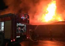 В МВД сообщили, что оперативники задержали предполагаемого виновника пожара в костромском кафе "Полигон", в котором погибли 15 человек