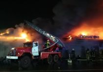 МЧС России распространило информацию о том, по какой причине не проводились проверки здания кафе «Полигон» в Костроме, где произошел пожар и погиби люди