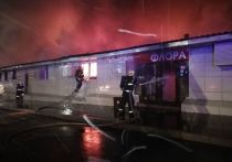 Жертвами инцидента стали 15 человек
