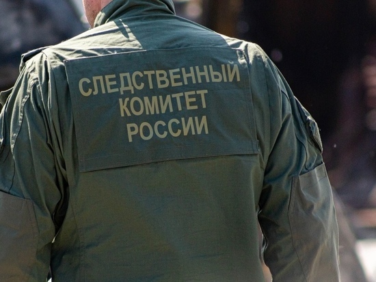 В Новосибирской области 14-летний школьник умер в гостях у друга