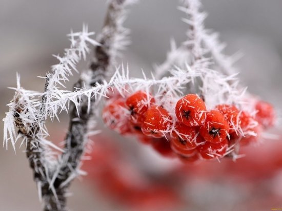 В Кировской области к десятому ноября может похолодать до минус 10