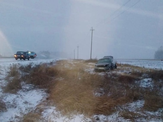 Женщина погибла при опрокидывании иномарки на трассе в Омской области