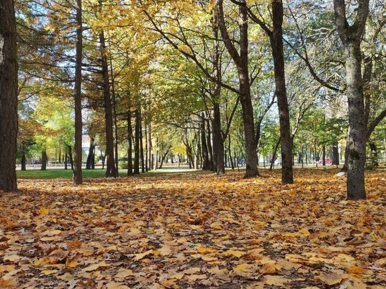 В начале ноября в Петербург придет аномальное потепление