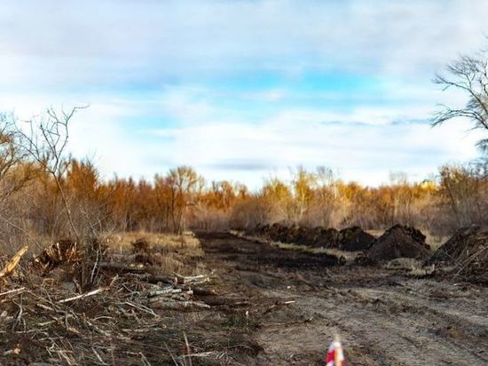 В омском парке Победы продолжается вырубка деревьев из-за будущей развязки