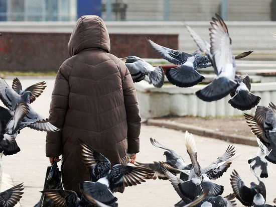 Россиянка пожаловалась губернатору на "коробку с больными голубями из биолаборатории"