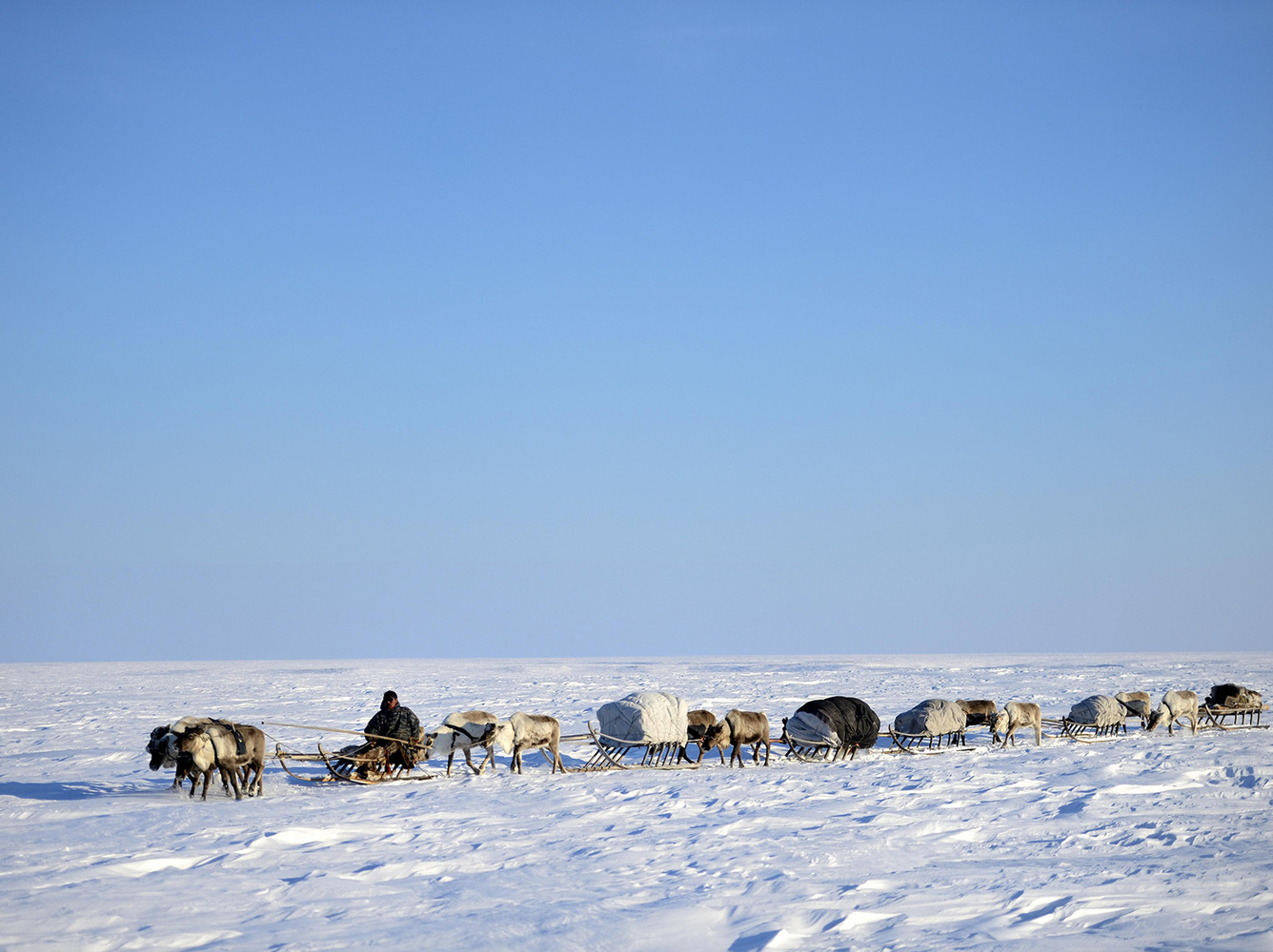 Жизнь арктических кочевников России: фото быта