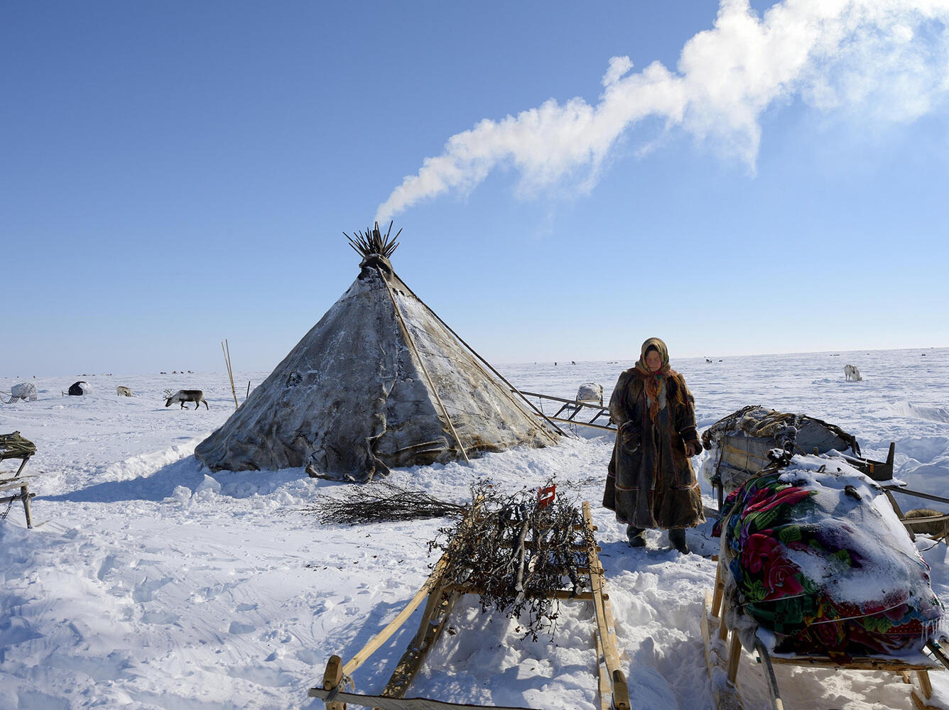стойбище оленеводов ненецкий автономный округ. арктика быт. чум тундра северное сияние. эскимосская яранга. северная девушка арктика ненцы.