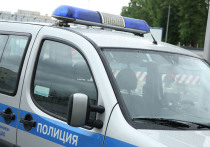 17-летний подросток покончил с собой в ночь на воскресенье в лесу на трассе «Дон» в Домодедовском городском округе