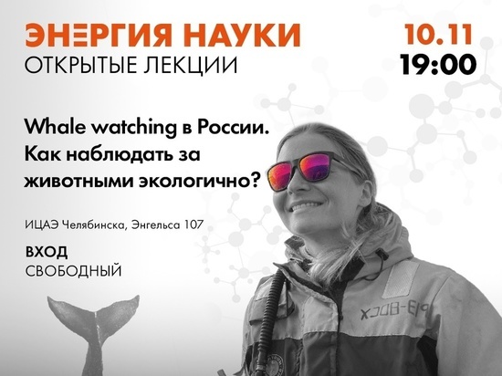 Морской биолог подскажет челябинцам, где встретить кита в России
