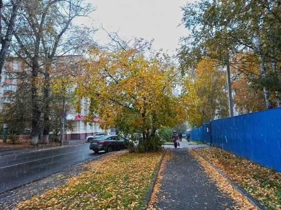 Дождь и мокрый снег возможны в Томской области 7 ноября
