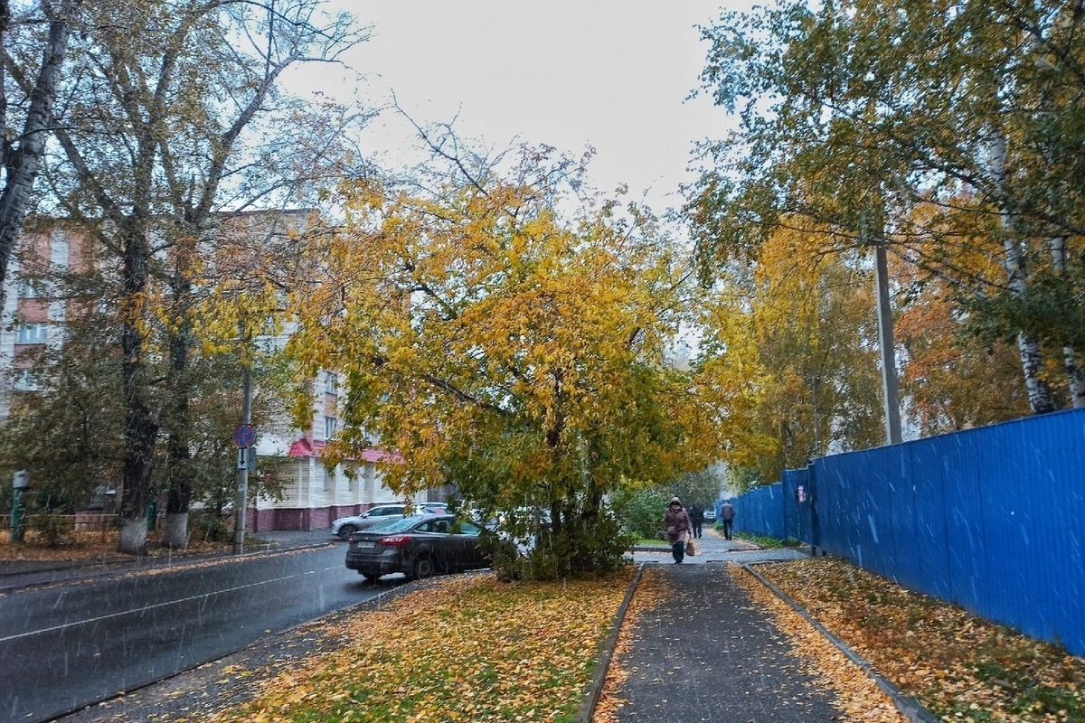 Осенний Томск снег фото. Погода в ноябре в Томске.