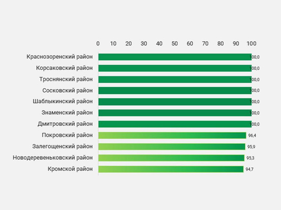 7 муниципалитетов Орловской области освоили все бюджетные средства по нацпроектам