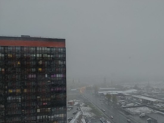 Мокрый снег и штормовой ветер ожидаются в Новосибирске с 7 ноября
