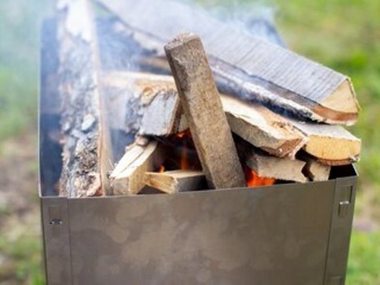 Тамбовские дачники жарить шашлыки и сжигать листву теперь будут по новым правилам