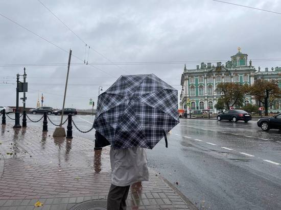 Петербург встретит рабочую неделю дождями и потеплением