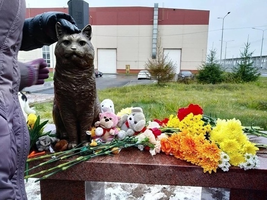 Замученному живодерами в Северодвинске коту Кузе открыли памятник