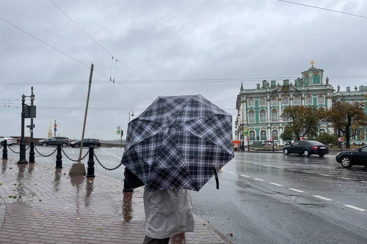 Петербург сегодня фото погода Петербург встретит рабочую неделю дождями и потеплением - МК Санкт-Петербург