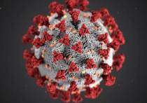На 7 ноября в Республике Бурятия зарегистрированы  еще 15 заболевших коронавирусом с лабораторным подтверждением