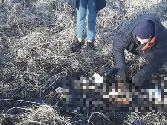 Стали известны подробности о найденных останках мужчины в Новосибирской области