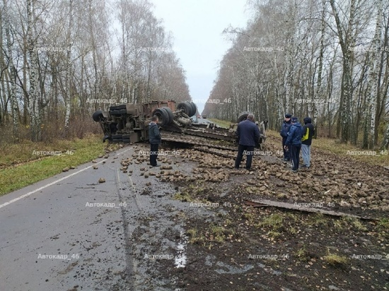 В Курской области водитель пожалел легковушку с двумя детьми и перевернул свой грузовик