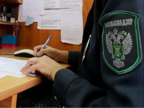 В Орловской области работу магазина «Светофор» приостановили из-за критической ошибки
