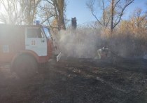 В Алтайском крае завершен пожароопасный сезон