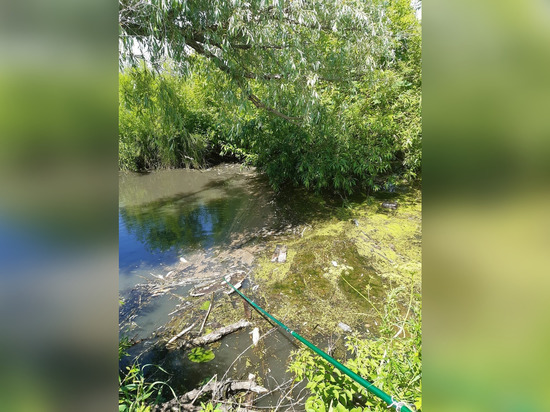 В Башкирии руководство фермы возместило ущерб за загрязнение речных вод