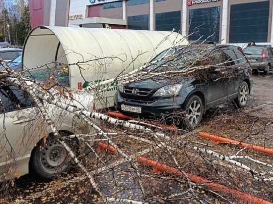 Состояние пострадавших от упавшего дерева в Обнинске детей стало стабильным