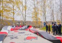 В клинском Сестрорецком парке построили современную площадку для занятий спортом — памп-трек