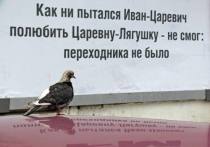 Главный ветеринарный врач Белгородской области Артем Медведев сообщил, что специалисты отреагировали на обращение жительницы Белгорода, заявившей о подозрительных голубях