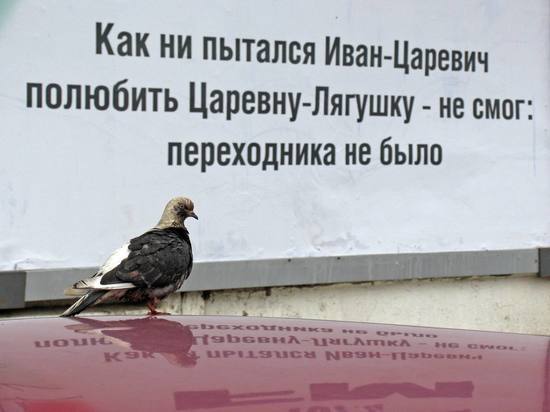 Напугавших россиянку белгородских голубей проверяют на "биотерроризм"