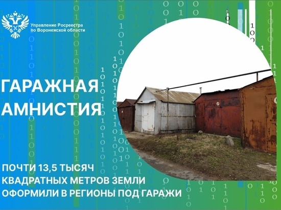 В Воронежской области более 13 тысяч квадратных метров земли оформили под гаражи