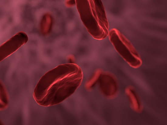 Выращенные клетки крови впервые ввели добровольцам в Великобритании