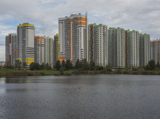 Количество срочных продаж квартир в Петербурге увеличилось в два раза с начала года