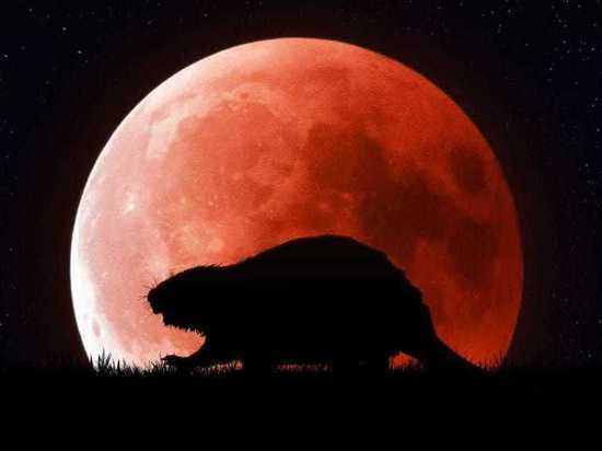 Ивановцы не смогут наблюдать кровавую бобровую Луну, которая взойдет сегодня